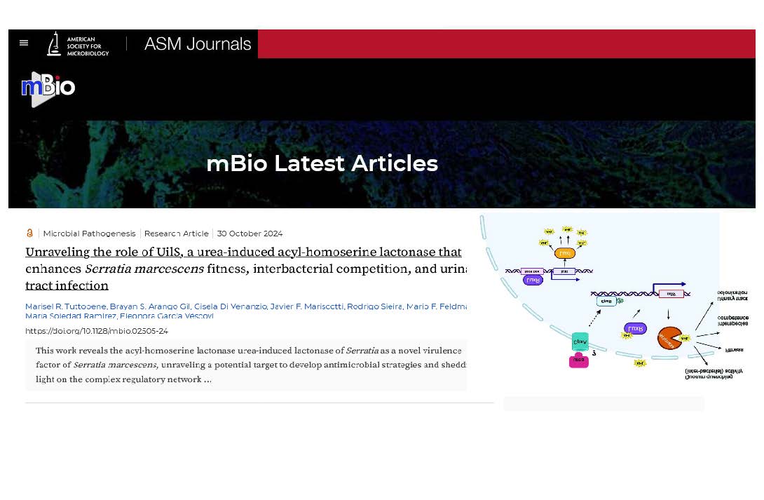 Eleonora Garcia Vescovi tweet media