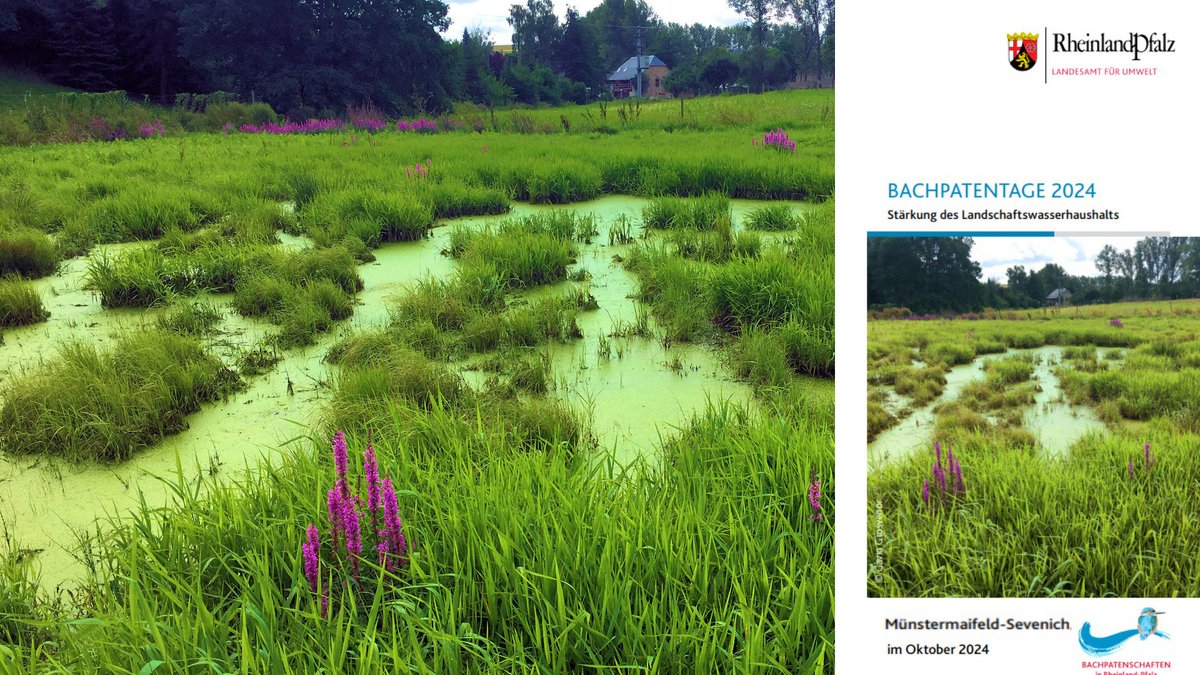 BUND Rheinland-Pfalz tweet media