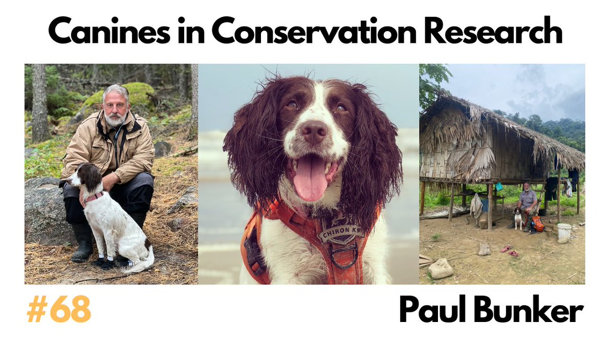 Our latest podcast with the founder of Chiron K9, Paul Bunker, explores the innovative ways #dogs are being deployed for #conservation🐶🌿

Watch: youtube.com/watch?v=ZV7en8…
Listen: rss.com/podcasts/resto…

#ChironK9 #RestoreOurPlanetPodcast #RestoreOurPlanet