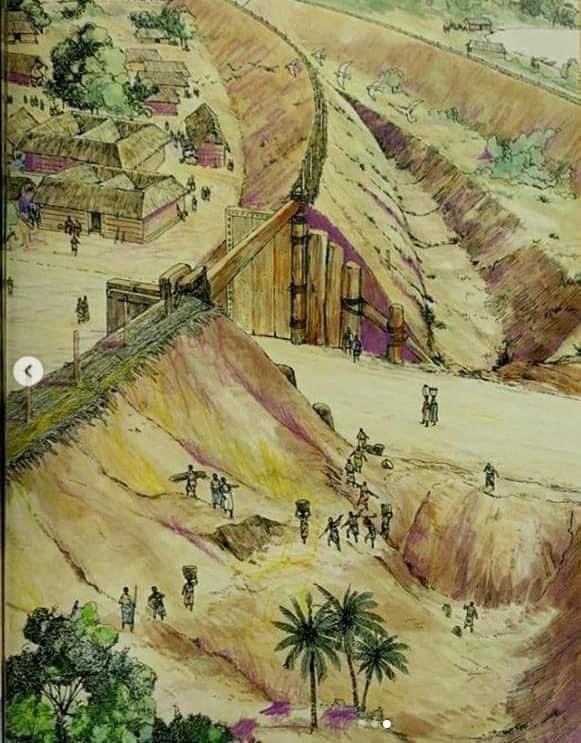 Typical African tweet media