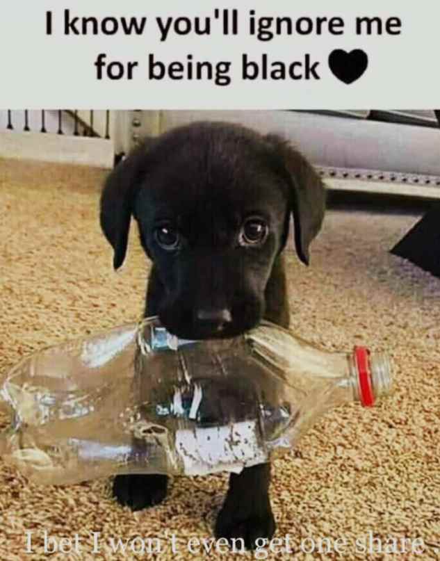 MapstoneLisa's tweet image. Contemplating the essence of Lisa chellewmapstone