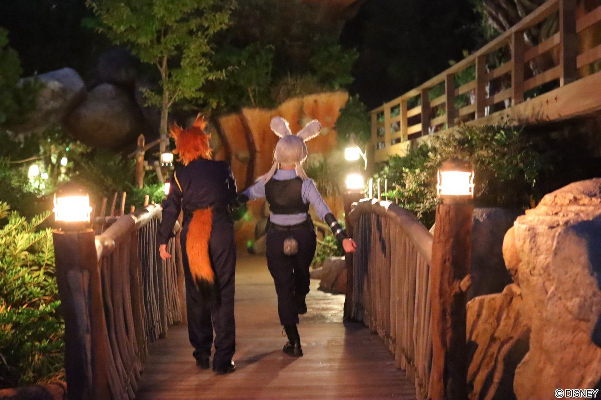 14時までなる早発送します】Dハロ ガジェット 衣装 ウィッグ 耳しっぽ