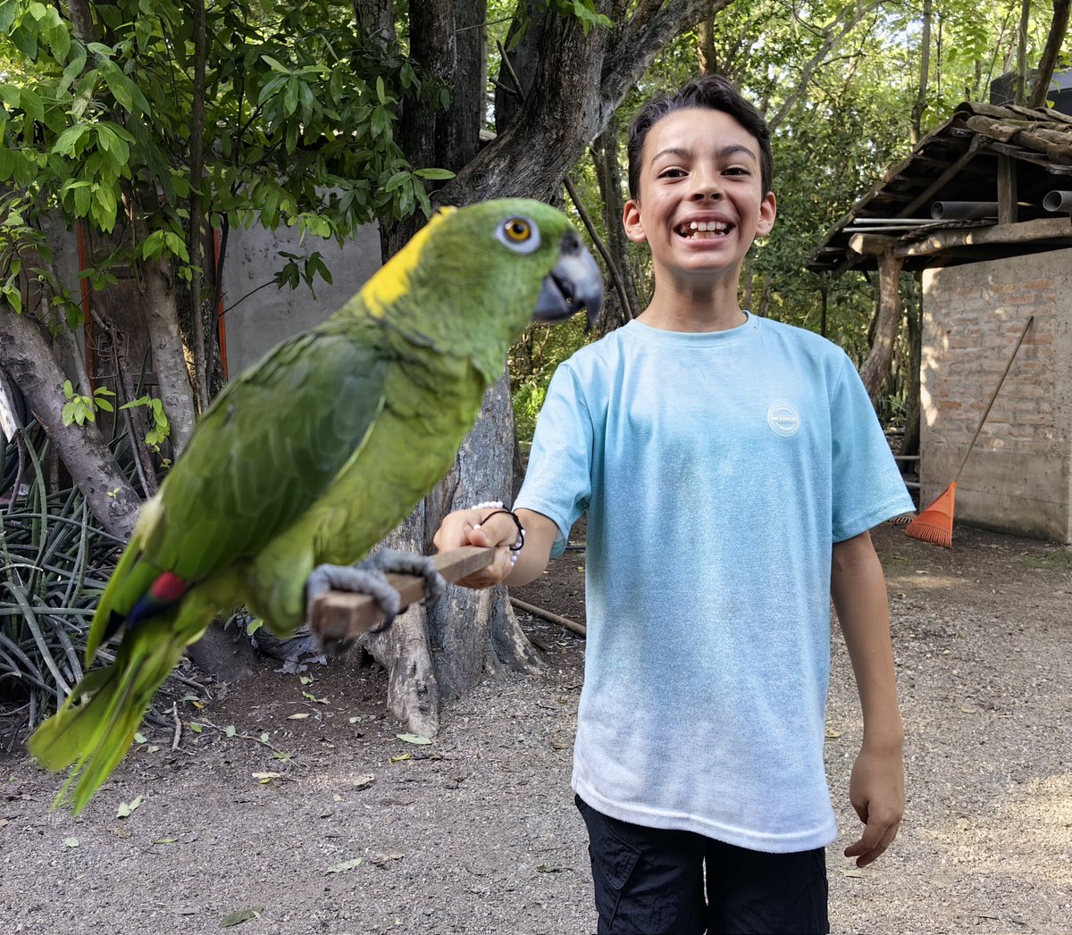 LatAmTravelist tweet media