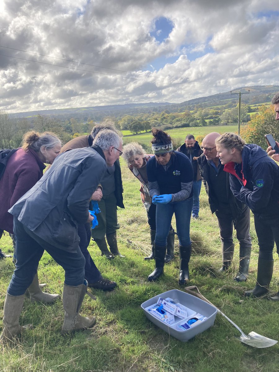 Last week, Harvard Farm hosted the @pastureforlife Farming in Protected Landscapes (#FiPL) workshop on the work dung beetles do for #soilhealth. We learned about worms from a veterinary perspective and examined the poo of Gotland sheep!
📷 : Rachel Janes