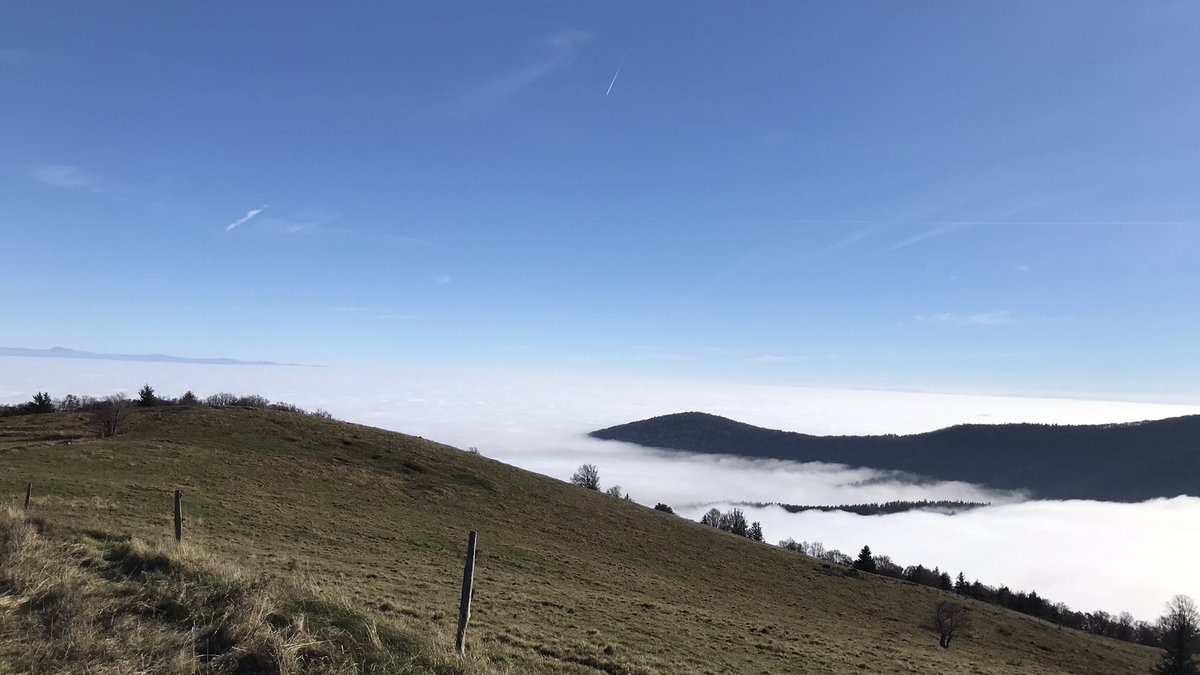 Real_Virtuelle's tweet photo. Il fait toujours beau au-dessus des nuages. 😎

#MerDeNuages 💙🤍 https://t.co/2tKASBM9e3