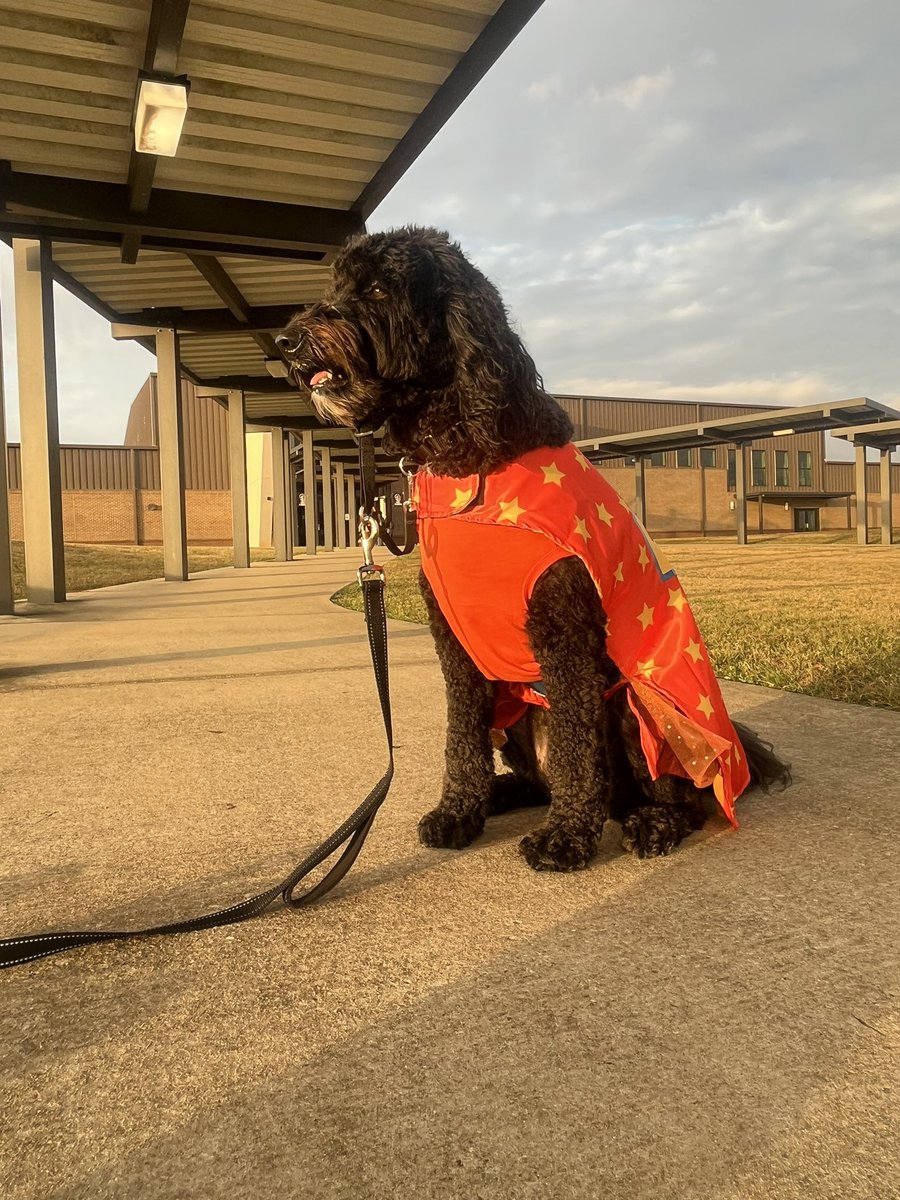 Eclair is giving warm welcomes on the bus lane in her super dog costume.