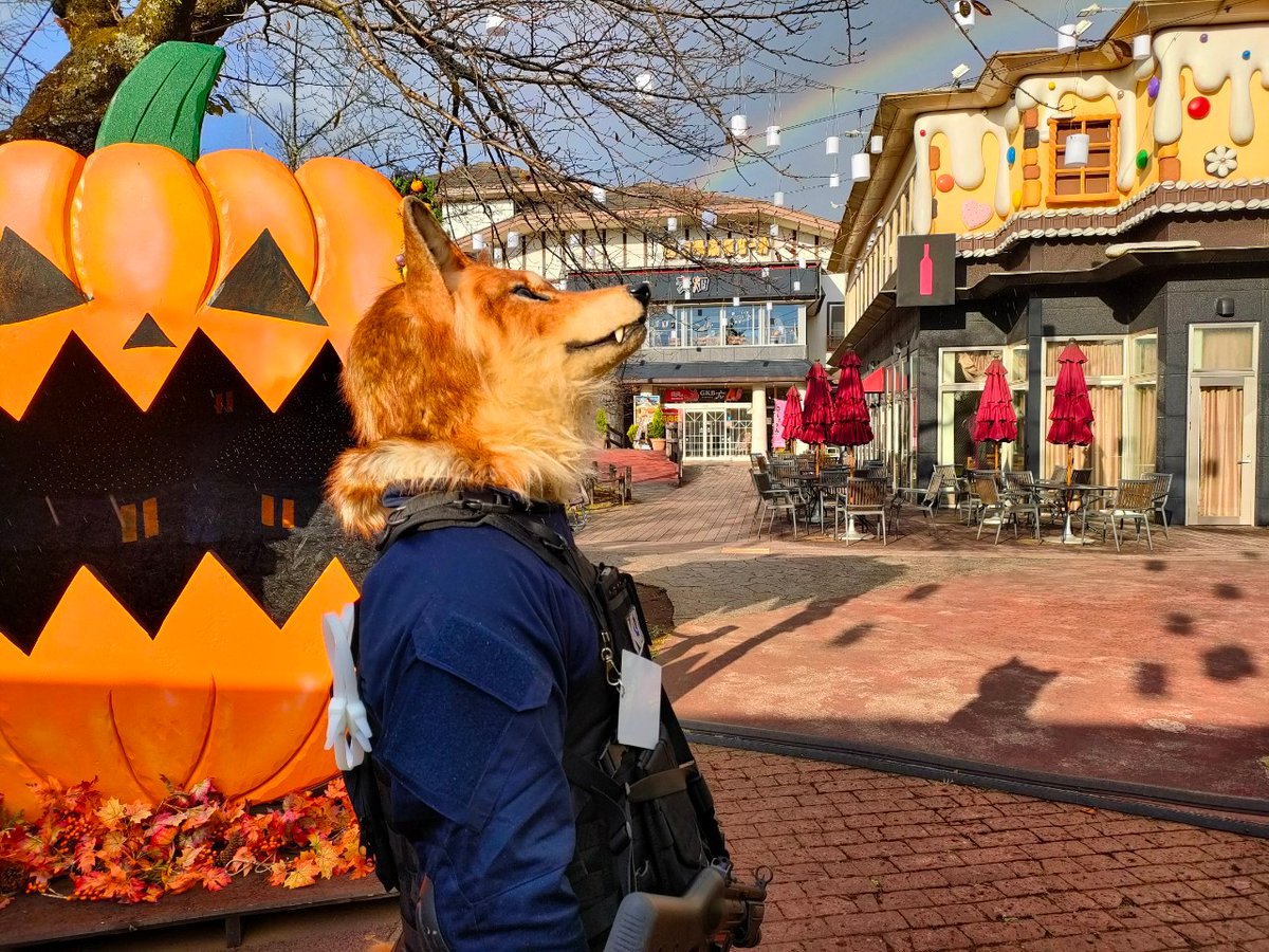 warwolf9001's tweet photo. ハッピーハロウィン🎃🌈
#Kemocon16
#FursuitEveryday https://t.co/82glRj82Tb