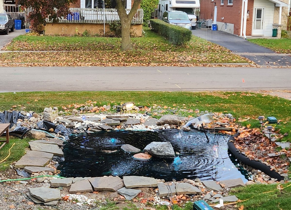 Michael Gerald Gibbs🏳️‍🌈🍁 🇺🇦 (He/Him) tweet media