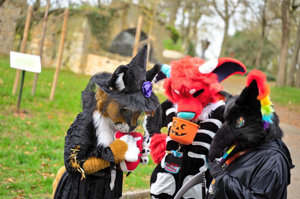 Mew1_'s tweet photo. Happy Halloween 🎃

Today I go around my village with @Wargamer__007
to give candys to childrens. 🍬

Fursuiter:
drfrankenfield
@Lilith_Fireglut
@Mew1_

✂️ by bakapawcreation

#furry #furryfandom #bird #birds #fursuitwalk #birdsuit #birdfursuit #fursuit #raven #ravenfursuit https://t.co/e90a5ILK5H