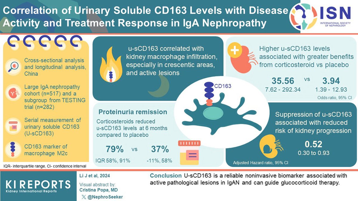KIReports (@kireports) on Twitter photo 1b/ Today, we will discuss a study by Li, J., et.al. that explores this potential biomarker❗
Read the study here ➡️ kireports.org/article/S2468-…
Beautiful visual abstract 🤩 by <a href="/NephroSeeker/">Cristina Popa 🦋</a> 1b/ Today, we will discuss a study by Li, J., et.al. that explores this potential biomarker❗
Read the study here ➡️ kireports.org/article/S2468-…
Beautiful visual abstract 🤩 by <a href="/NephroSeeker/">Cristina Popa 🦋</a>