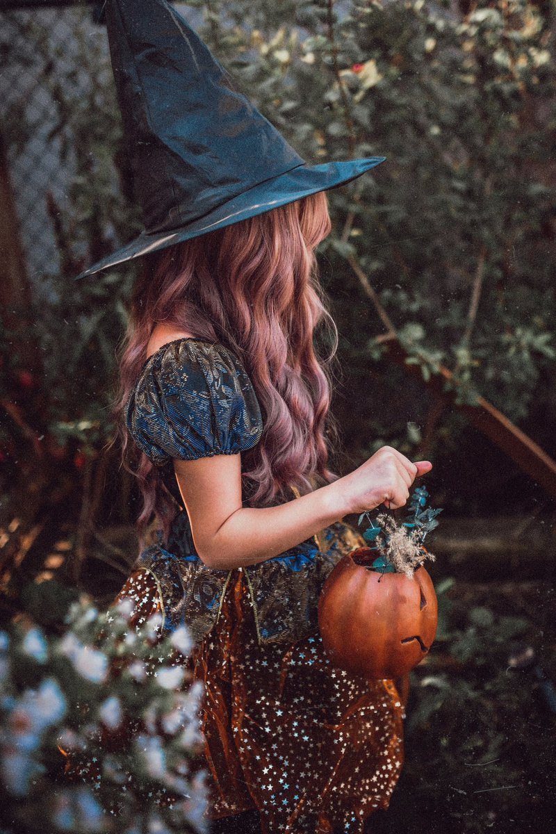 It’s Halloween
Nothing’s rational except
Small walking witches 

#haikuchallenge (rational) #haiku 
Photo by Paige Cody <a href="/unsplash/">Unsplash</a>