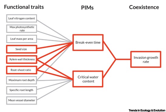 Trends_Ecol_Evo's tweet photo. Online now: Why ecologists struggle to predict coexistence from functional traits https://t.co/1wdkHKiQCy https://t.co/xK9DjWwNda