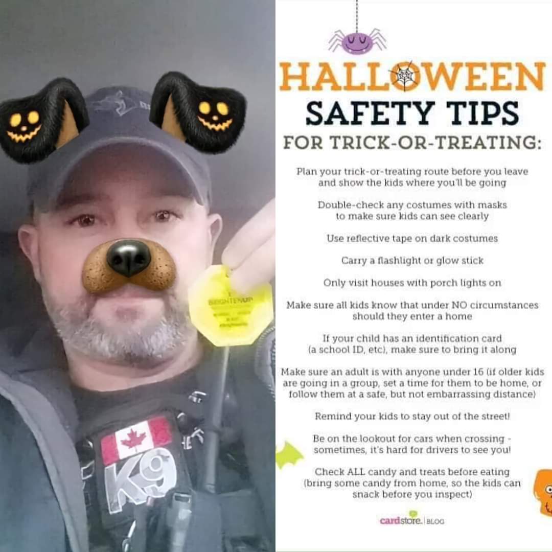K9Response's tweet photo. Happy Halloween! Stay safe out there today and make sure to stay alert! Make sure you are wearing something bright and reflective like this zipper pull or a glowstick so you can be seen! Drivers need to pay extra attention as well for the little ones! Have fun and be safe! 🎃🎃🎃 https://t.co/SnMzgf7Bc9