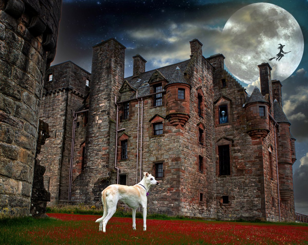 A very spooky walk at Newark Castle, Port Glasgow  ........
 #halloween2024