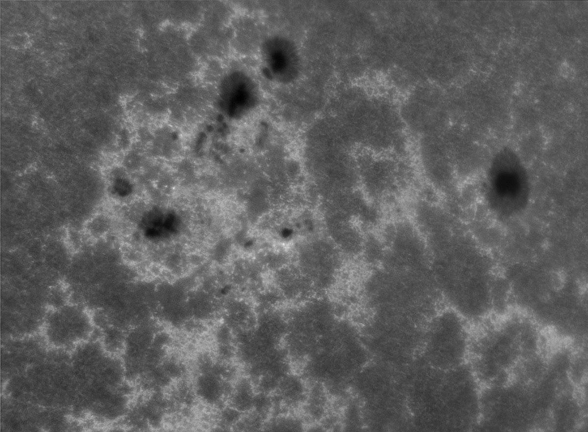 yltansg's tweet photo. 31Oct24, 0530UTC. Used self-assembled 1.4m long, 150mm aperture #CAK #SolarScope to zoom-in on #ActiveRegion which produced more than 100 #Flares. Features seen in #Chromosphere: #Plagues #Pores #SuperGranulation #ChromosphericNetwork. (Credit: GIF from SDO shows #ActiveRegion) https://t.co/HGPWoGmo1j