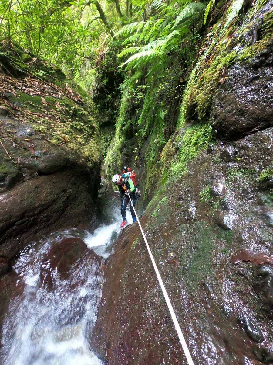 espeleogel's tweet photo. CANYONING MADEIRA MEETING 2024; El meeting anual de Madeira es, desde hace ya unos años, una cita de referencia para la comunidad barranquista. https://t.co/P85wOomHdl https://t.co/SEbaoElPDT