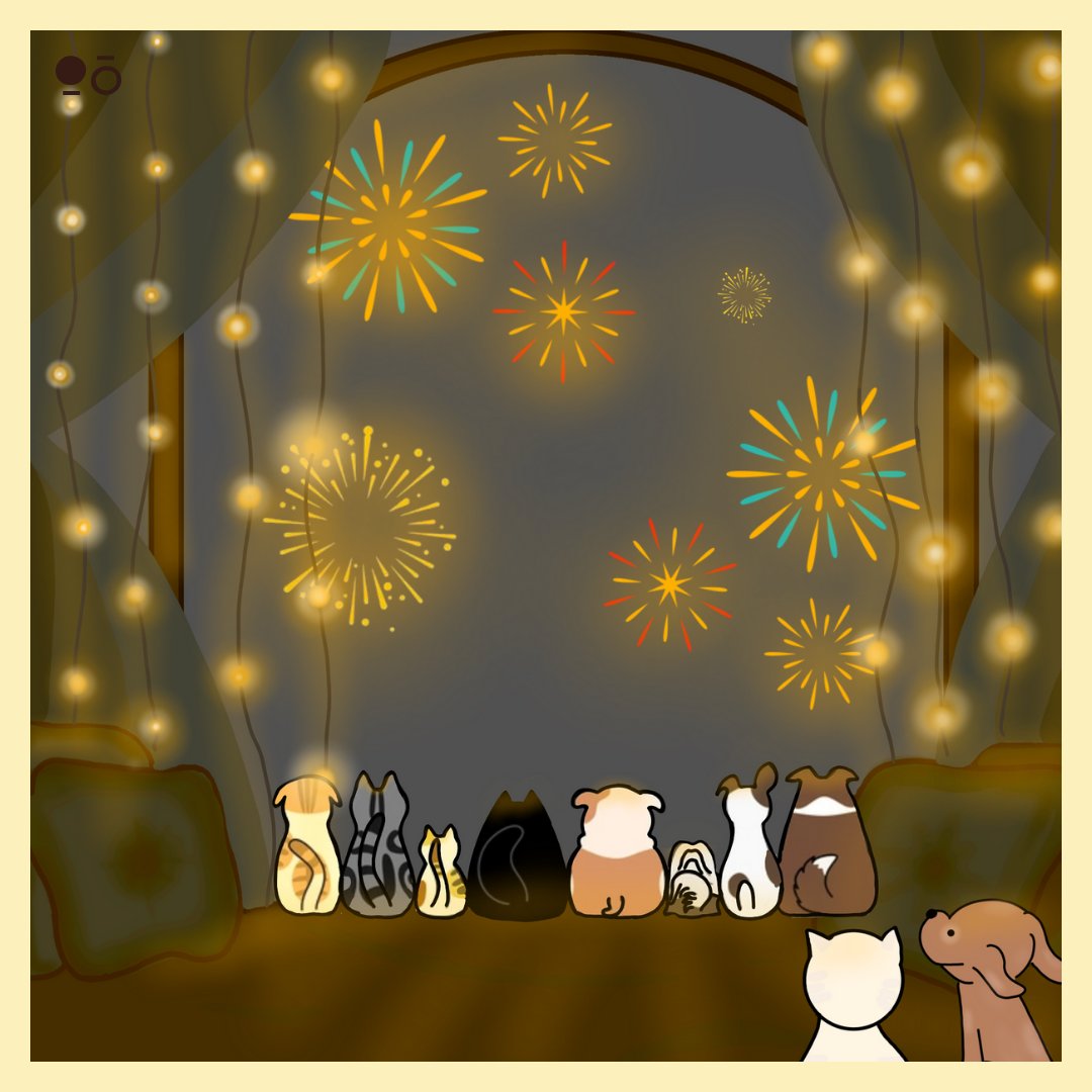 ChocolateNWhite's tweet photo. Celebrate the festival of Lights, with Chocolate and White. Happy Diwali 🪔✨

#chocolateandwhite #happydiwali #chocolate #chocolates #lights #puppy #kitten #festive #FestivalOfLights https://t.co/BlRBTrJi6K