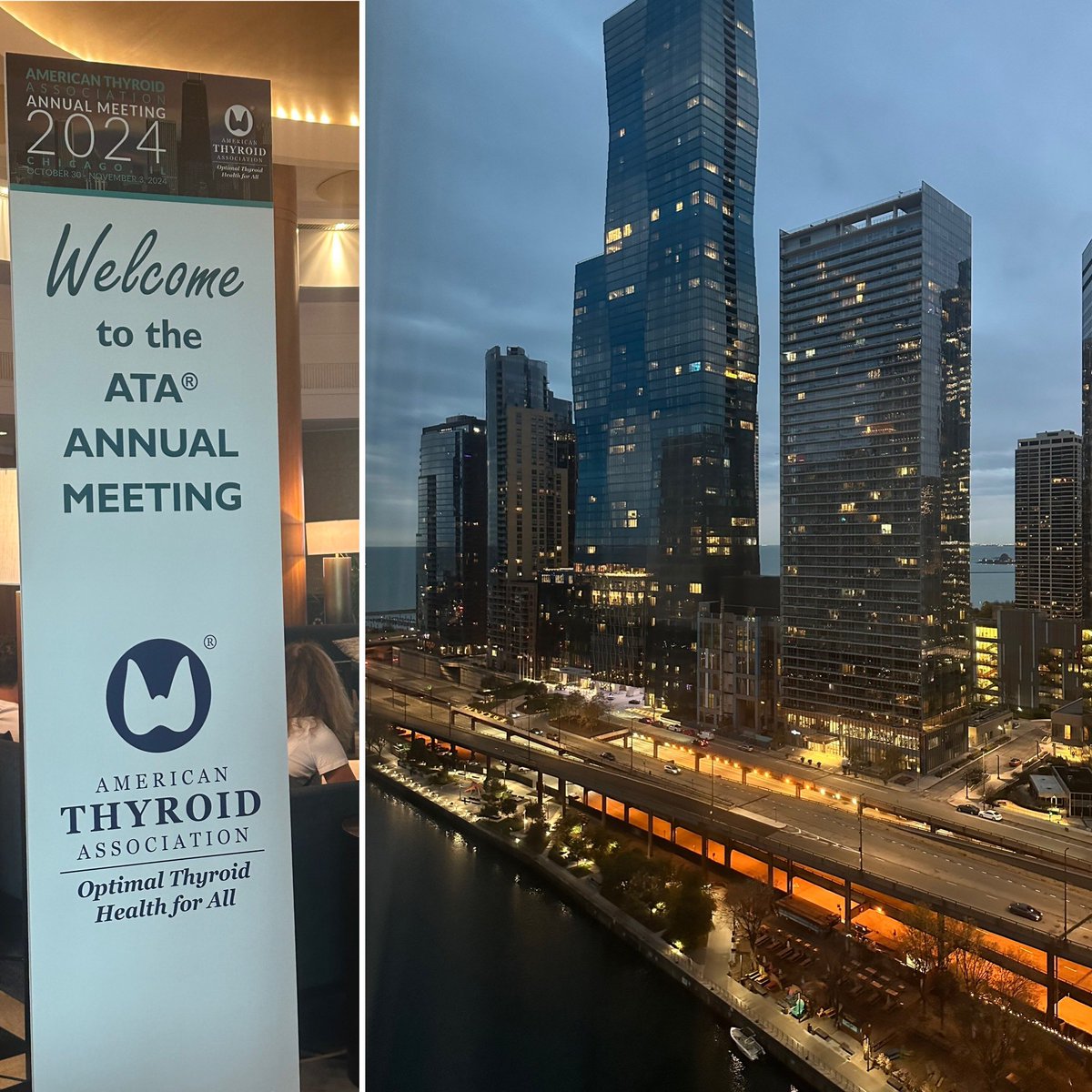 Malini Gupta, MD, FACE, ECNU (@maliniguptamd) on Twitter photo Here at the #2024ATA meeting in Chicago! #thyoid   Find me if you are here too! Here at the #2024ATA meeting in Chicago! #thyoid   Find me if you are here too!