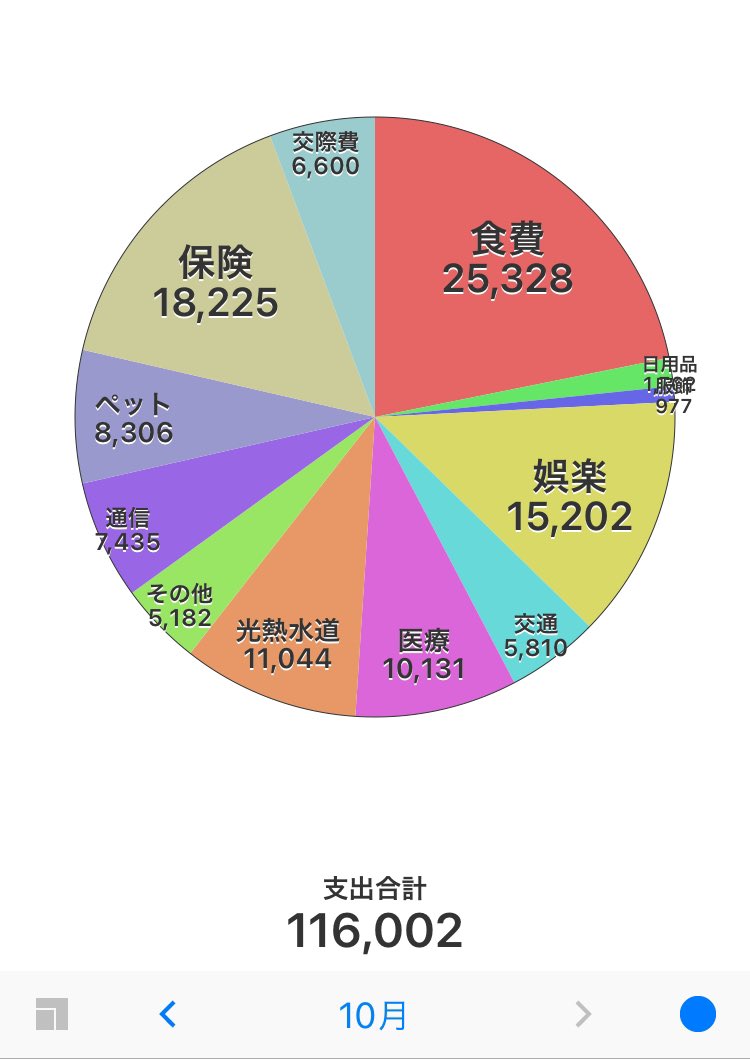Chocomints4's tweet image. 2024年10月分家計簿　上旬北アルプス✈️⛰️登山旅行に行ったのでその分は特別費で別に計上してます。
その方が思い切り楽しめますね。
他はなかなかの節約ぶり。

#支出管理
#家計簿