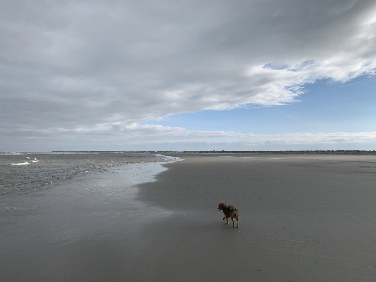 De zon blijft het proberen! #Ameland