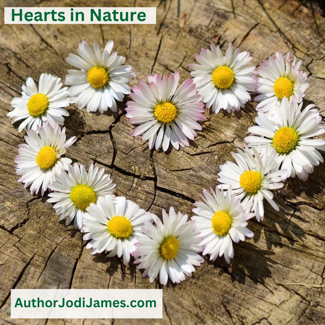 #Hearts in #Nature Series 26
AuthorJodiJames.com
#heart #romance #RomanceBooks #Relationships #embrace #Love #Romantic
