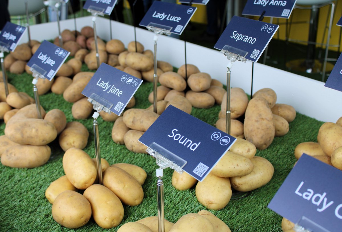 Beyond market developments, climate change, potato diseases and consumer needs, informatics and data are important factors in breeding new potato varieties at Meijer Potato.
Read more in our Potato Variety Days ebook: hubs.ly/Q02Wk3430 #PotatoVarietyDays24 <a href="/MeijerPotato/">MeijerPotato</a>