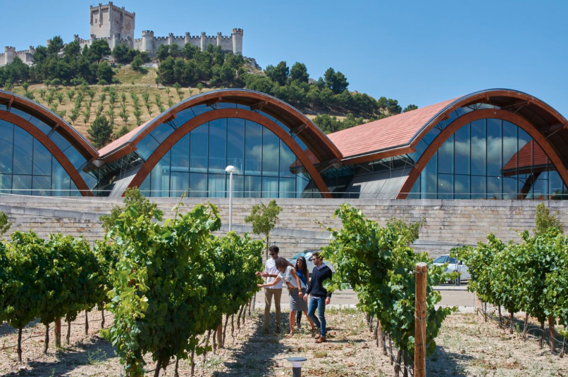 Bodegas Protos tweet media