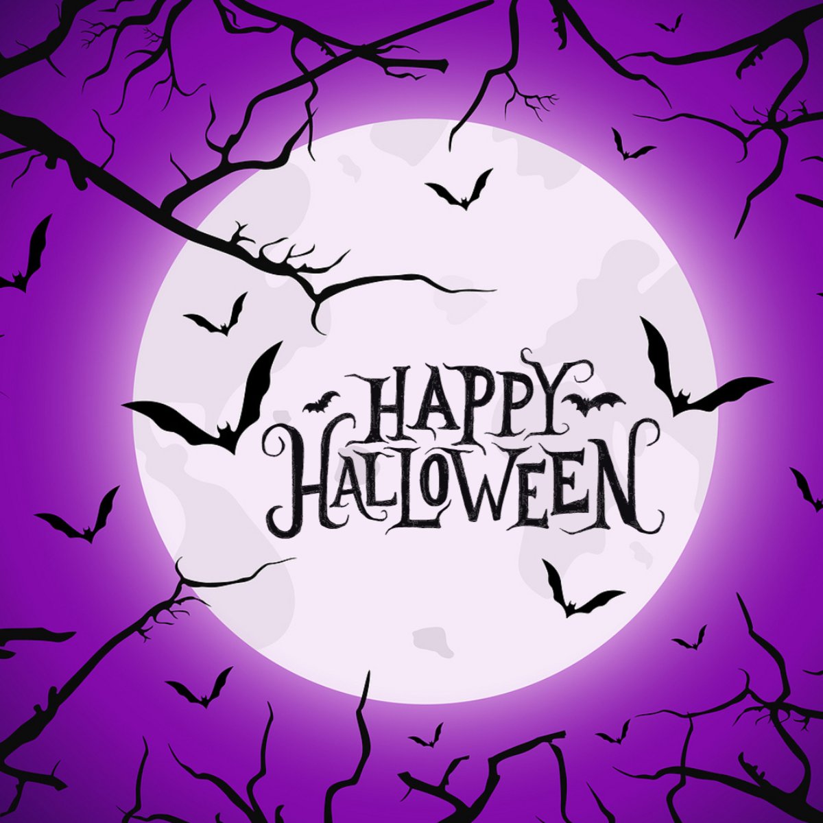 RegencyStAug's tweet image. Stay spooky, friends! 🦇 #HappyHalloween from all of us at Regency Inn &amp;amp; Suites St. Augustine! #spookyseason