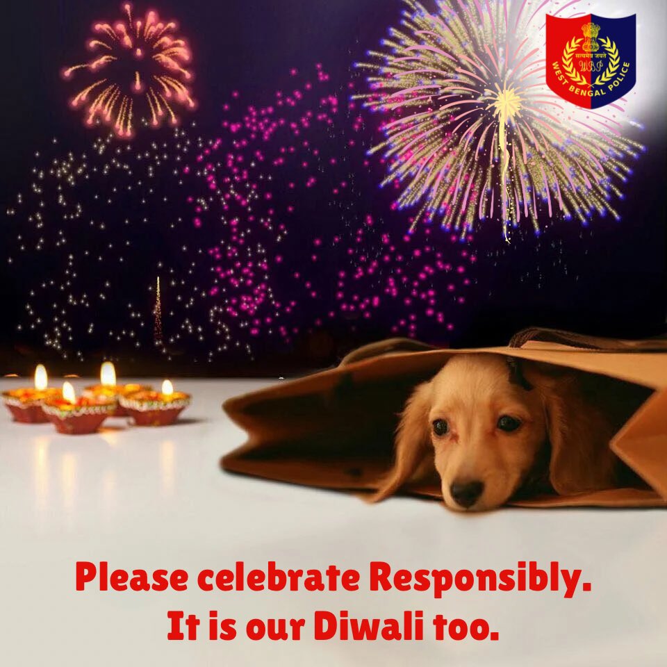 देश की विभिन्न सरकारी और गैर सरकारी संस्थाओं ने #दीपावली पर #पटाखे न चलाने का संदेश दिया है।

सभी मे एक चीज कॉमन थी वो "कुत्तो को पटाखो से डर"

संदेश स्पष्ट है की #पटाखो से सिर्फ कुत्तो को दिक्कत है अन्य किसी को नही।

खुशी-खुशी #दिवाली मनाओ थोङी देर में हम भी आ रहे है।