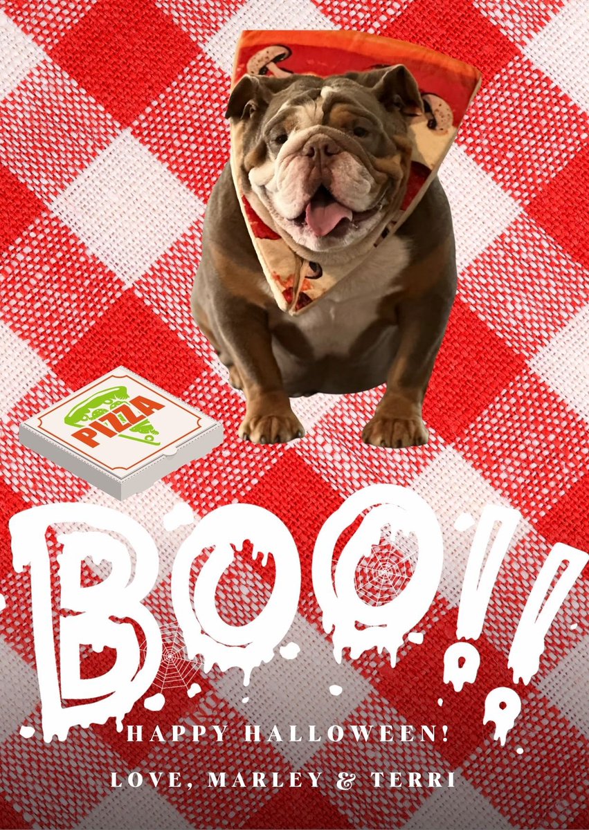 ntylion92's tweet image. When your pup's costume is 'toppings' this Halloween. 🍕🐶 #PizzaPup 
#Howloween