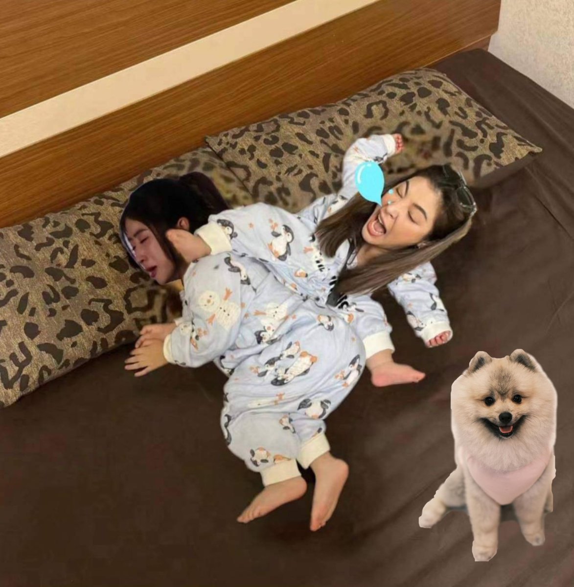 พี่สาวคนโสยกับหม๋าเด็กทานข้าวกันอะย๊างง2ทุ่มแย้วอย่าลืมทานข้าวกันด้วยนะคะแล้วก็ดื่มน้ำเยอะๆพักผ่อนเยอะๆนะคะหม๋าเด็กหายไวๆนะลูกหม๋าเด็กไม่ฉบายพี่สาวคนโสยก็ชอบแกล้งน้อนอ่ยยเอ็นดูวววว😂❤️

#FayePeraya #YokoAparsa