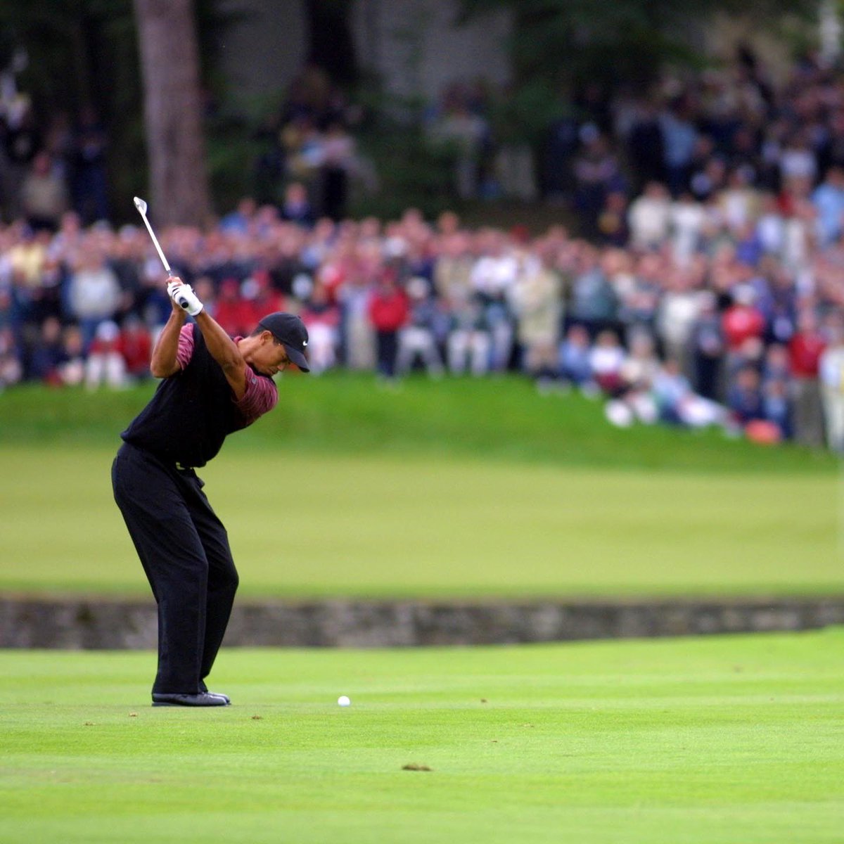 mountjuliet's tweet photo. We're thrilled to be nominated for Resort Course of the Year 2024! Join us this autumn to celebrate golf at Mount Juliet Estate! 

#MountJulietEstate #golfawards #stayandplay #luxuryexperience #countrysideescape https://t.co/SIdTcJbpSx