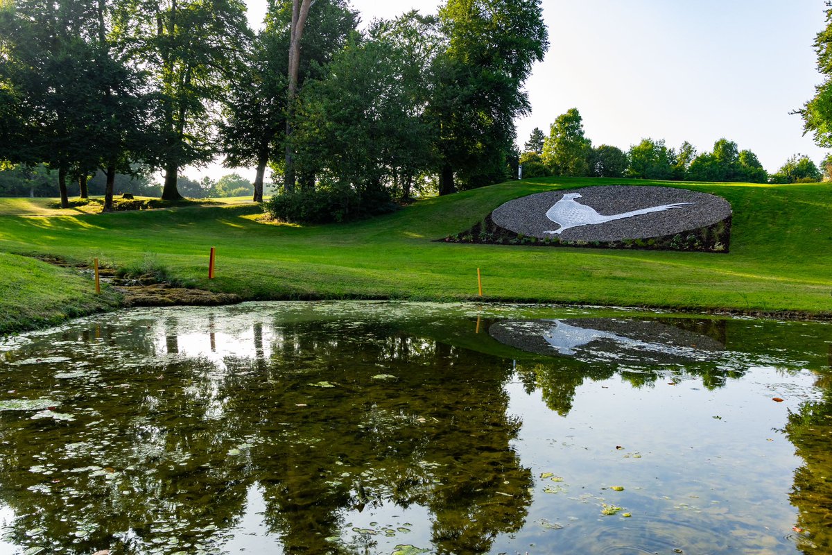 mountjuliet's tweet photo. We're thrilled to be nominated for Resort Course of the Year 2024! Join us this autumn to celebrate golf at Mount Juliet Estate! 

#MountJulietEstate #golfawards #stayandplay #luxuryexperience #countrysideescape https://t.co/SIdTcJbpSx