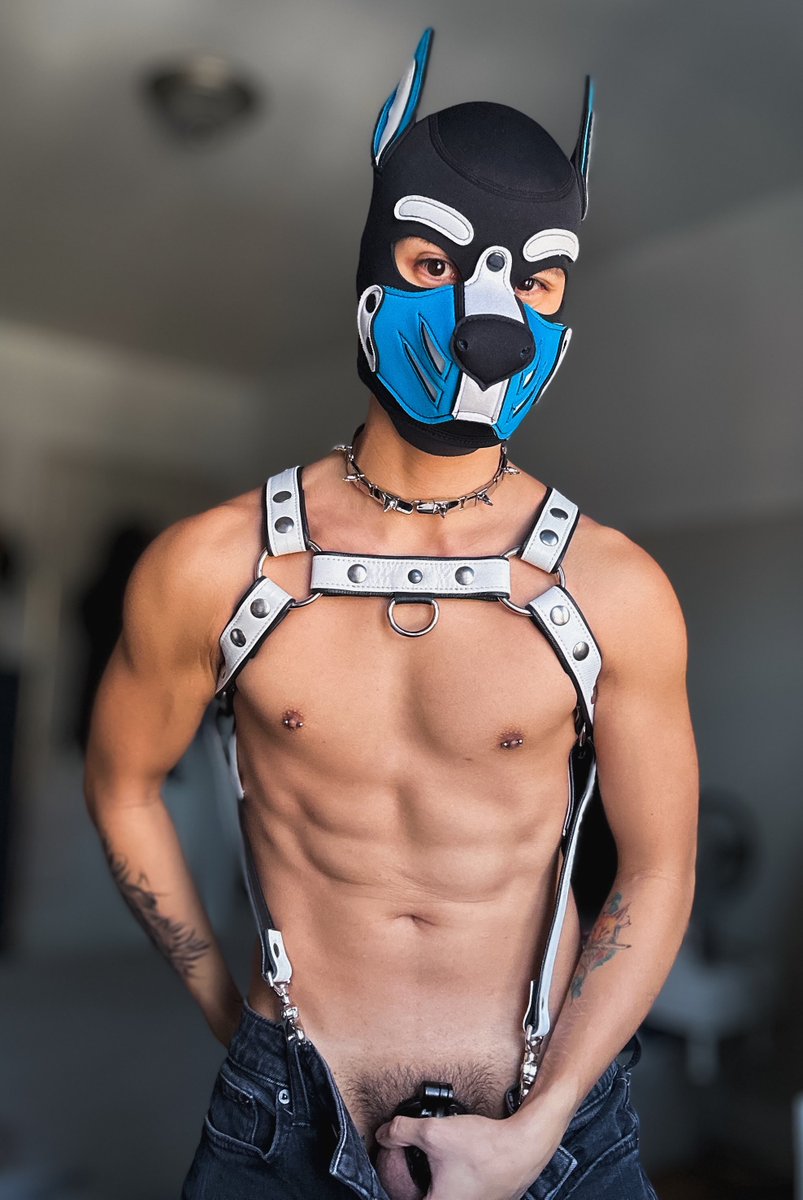 pupskyler3's tweet photo. CAGE CHALLENGE: God I know I’m gonna regret this… but @PupRocky9 and I are gonna take this on! 

Y’all got 24 hrs, and by the end of it I’ll calculate how long we’ll stay locked for!

Like = 1 hour
RT = 3 hours
Follow us = 6 hours/each account

Starts Nov. 2nd https://t.co/rjUHWvJpMO