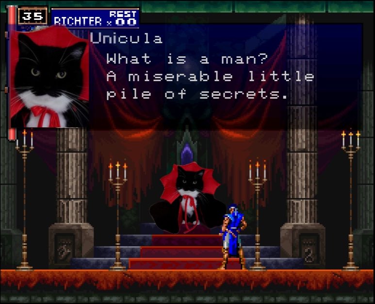 finlay stano tweet media