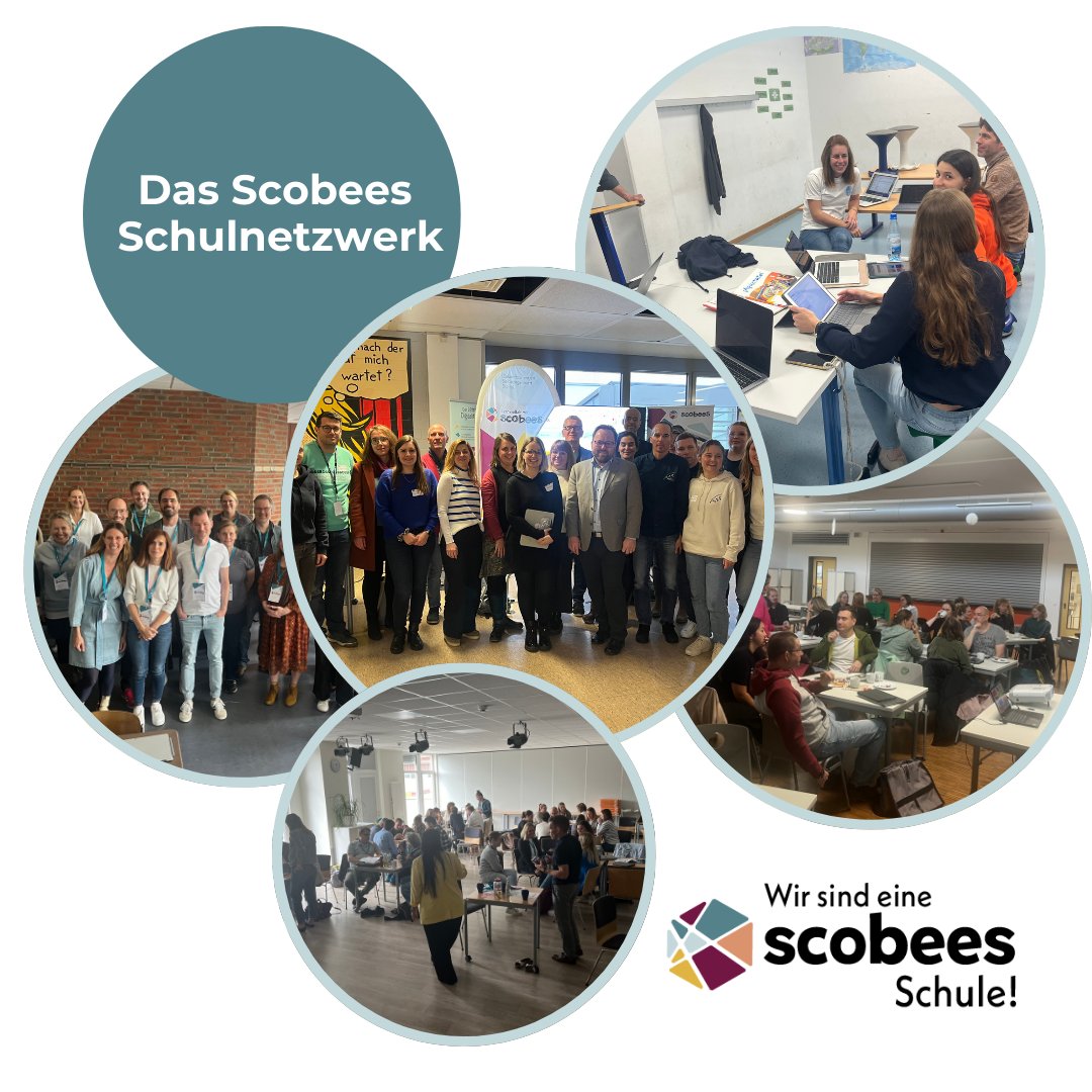 Scobees tweet media
