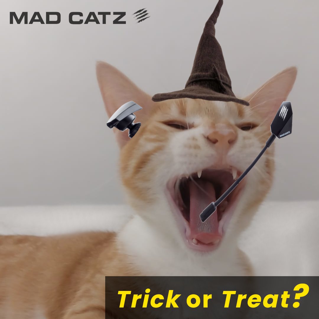 MadCatz's tweet image. ...Trick or Treat? 🎃

Be cautious: our Mad Cat Qwerty is all about Treats 👻 and in charge to serve you tonight! 

Get your bite on at our Amazon store ➡️ loom.ly/OZLDPeA

#Halloween2024 #HalloweenCats #MadCats #GingerCat #GingerCatsRock #CatsOfInsta #Gamers #MadCatz