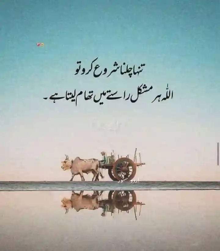 Rubanmaalik29's tweet photo. #ITPowers
#Twin
#Twin_brother https://t.co/yCLRLlF0AG