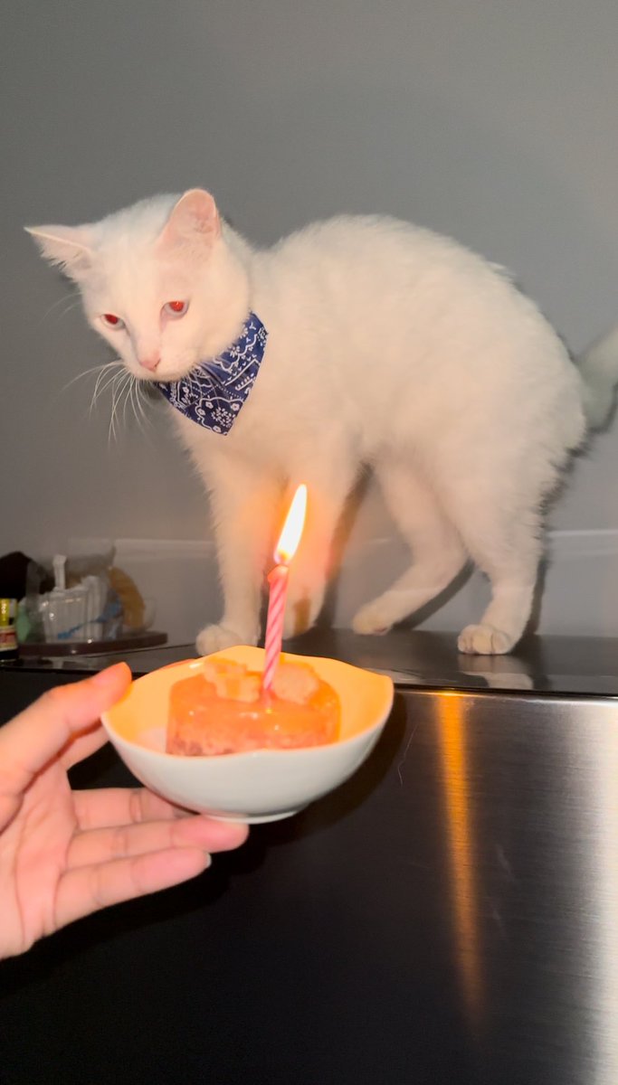 แฮปปี้เบริดเดย์นะค้าบบลูก โทดทีที่มิ้ทำหนวดไหม้ 🤣🤣