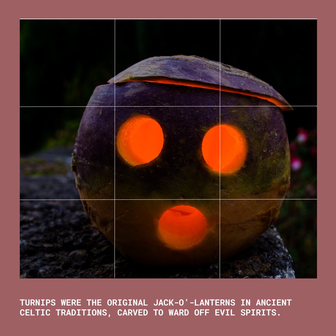 CCE Broome County tweet media