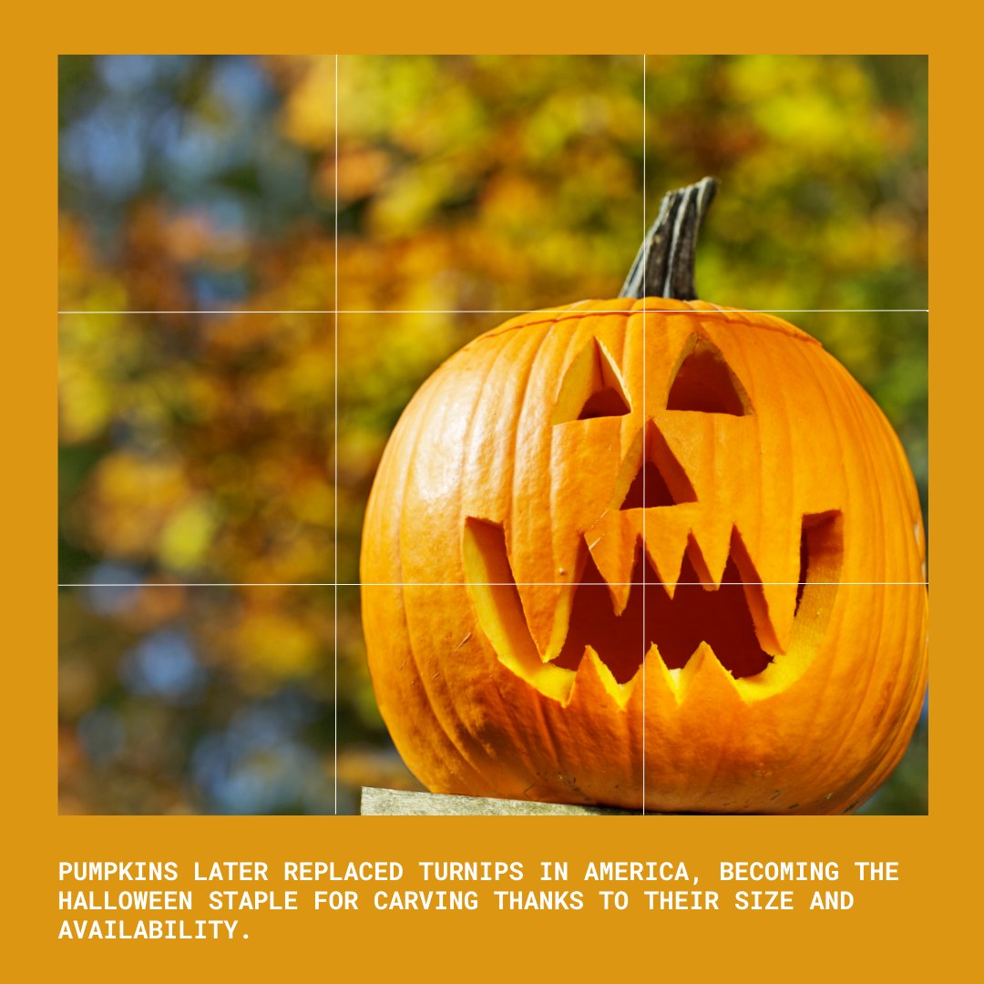 CCE Broome County tweet media