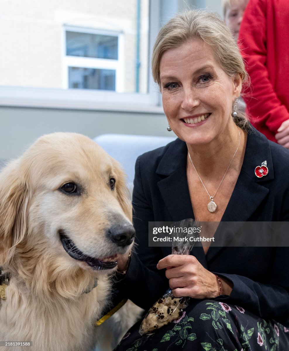 🌻Sarahsecret tweet media