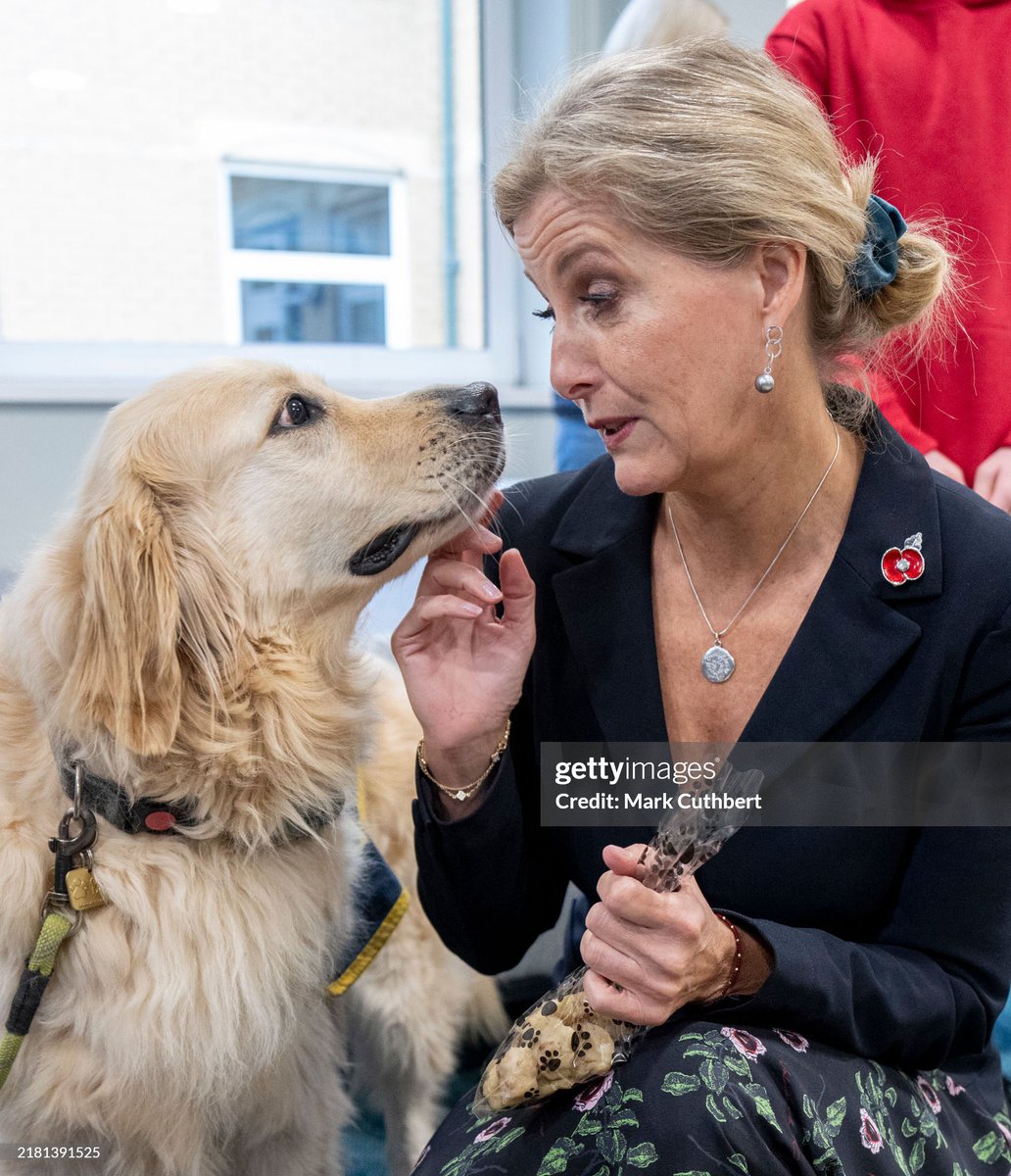 🌻Sarahsecret tweet media