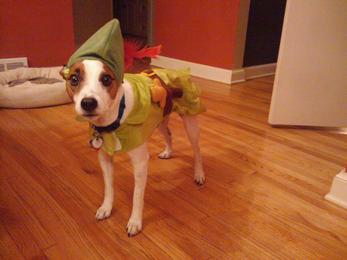 Happy Halloween, here's the time we made Mickey dress up like Peter Pan, he was ready to put himself up for adoption