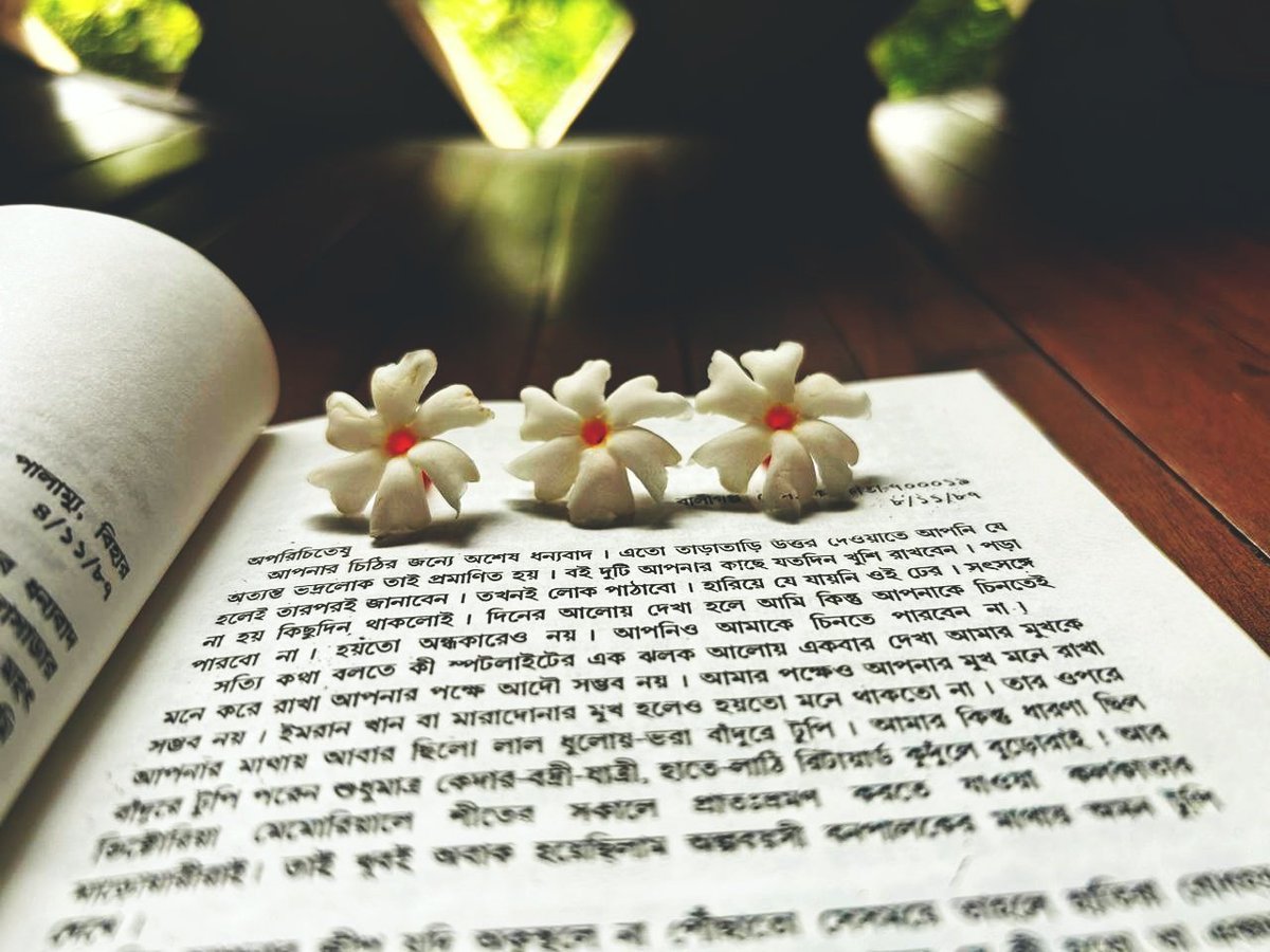 MoniShuvra's tweet photo. অজস্র শিউলীর গন্ধে ভর করে আসা অক্টোবরের বিদায়! 🌼

৩১.১০.২০২৪ https://t.co/XLA6UPmTZ4