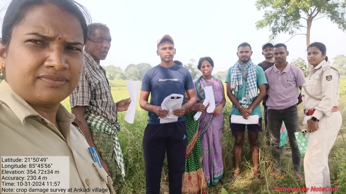 DfoKeonjhar's tweet photo. Proactive survey of elephant Crop damage applications by forest staff on daily basis ensures that people get their due compensation timely and increase social carrying capacity for conservation of pachyderm 
@CMO_Odisha @PCCFWL_Odisha @ForestDeptt @pccfodisha @susantananda3 https://t.co/kgm9XBgKPj