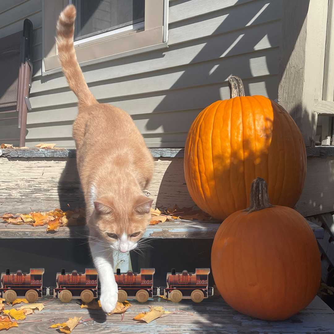 Maple Landmark tweet media