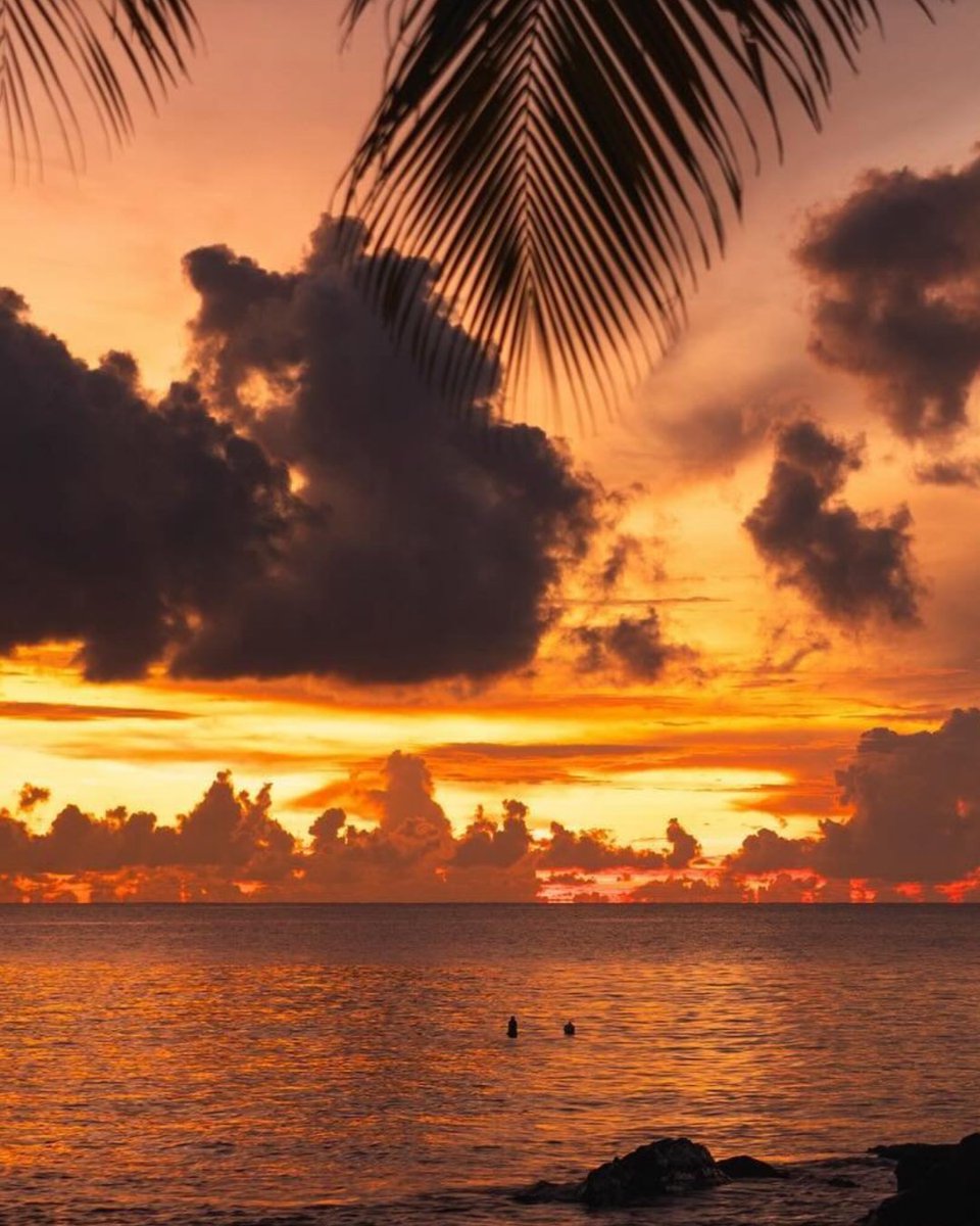 USVItourism's tweet photo. Name something scarier than missing your flight to the USVI. 😱 ​
​
Wishing you a happy Halloween from paradise! 🎃​
​
IG 📸: threesheetsontherocks​
​
#VisitUSVI #NaturallyInRhythm https://t.co/ViUjW5YeX5