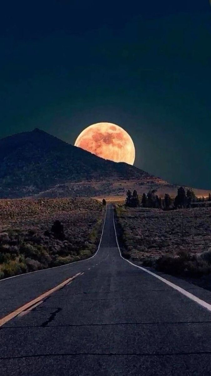 Good Night X Tweeps 

Have A Sweet Dreams