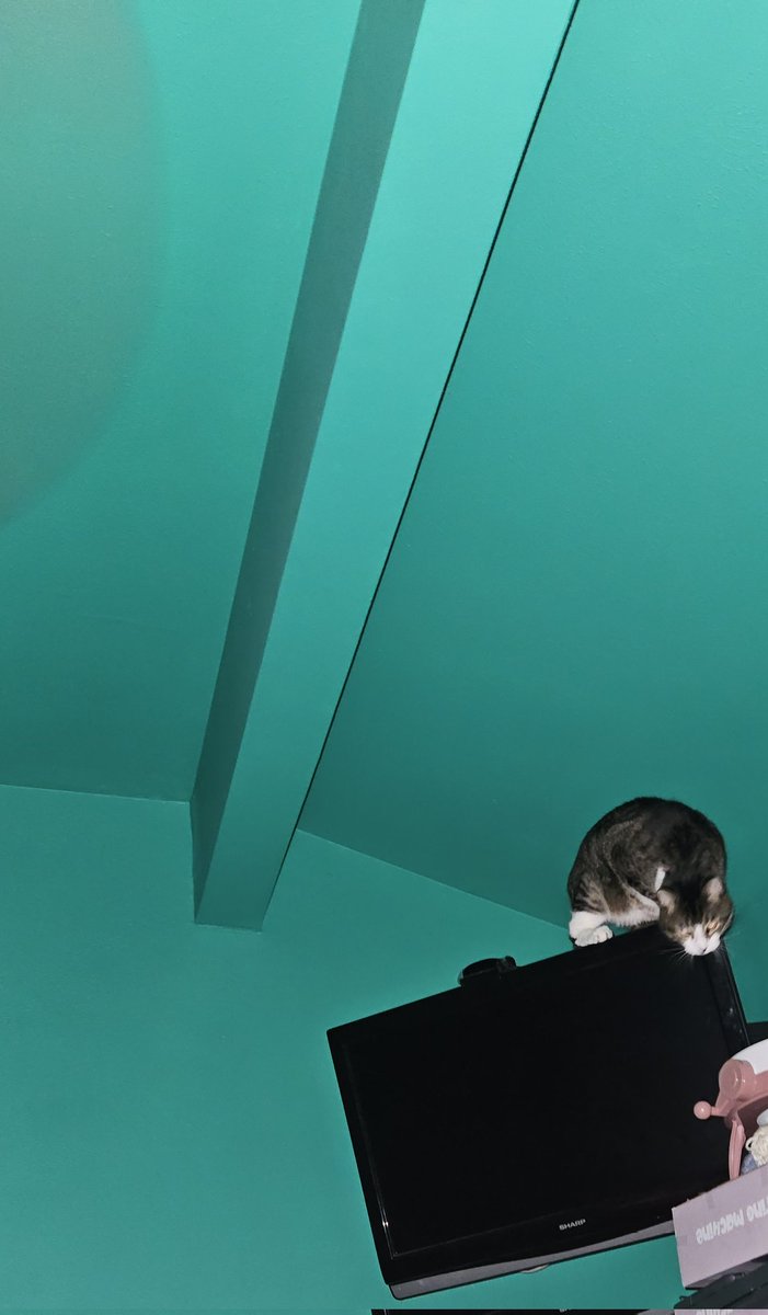 You may love your peace and quiet in the morning, but what if you got a cat that could wake you up by climbing on the TV and knocking everything off the dresser?